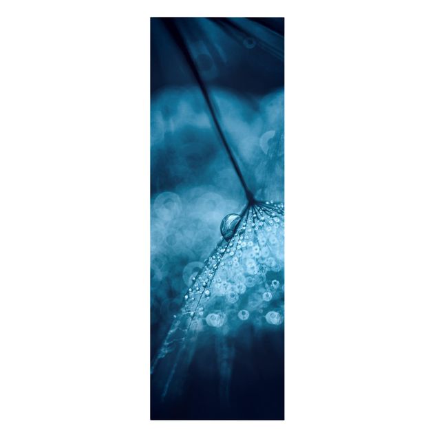 Stampa su tela - Tarassaco Blu In The Rain - Pannello