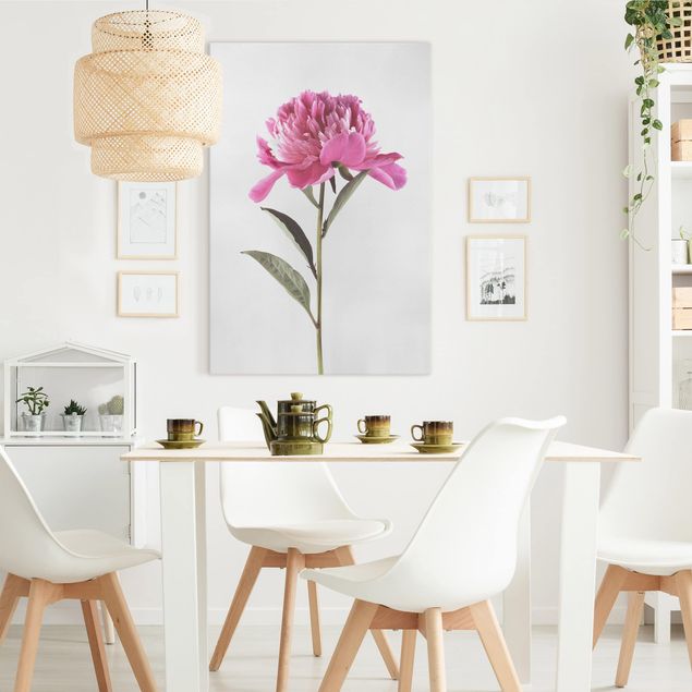 Quadri moderni per soggiorno Peonia in fiore rosa su bianco
