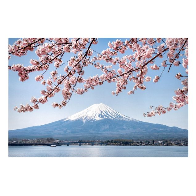 Riproduzioni su tela Fioriture di ciliegio con il monte Fuji