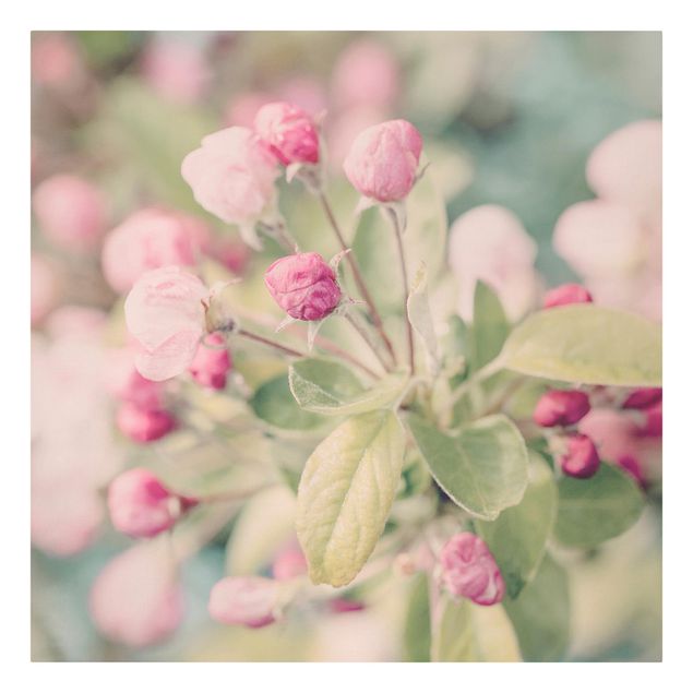 Stampa su tela - Apple Blossom rosa bokeh - Quadrato 1:1