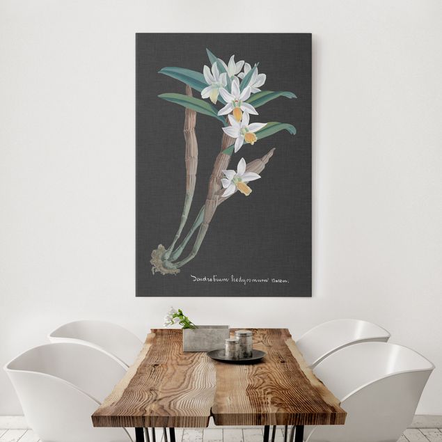 Stampa su tela vintage Orchidea bianca su lino I