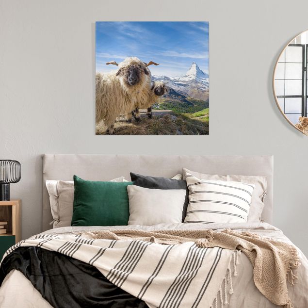 Stampe su tela paesaggio Pecore dal naso nero di Zermatt