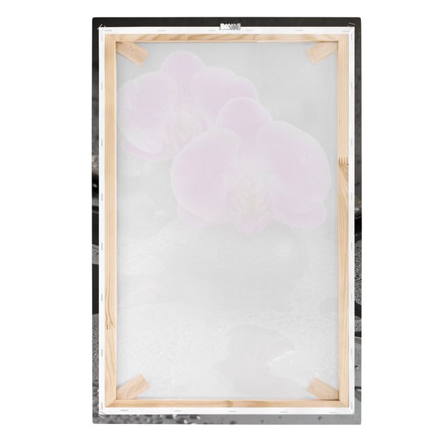 Stampa su tela - Pink Orchid Fiori Sulle Pietre Con Le Gocce - Verticale 3:2