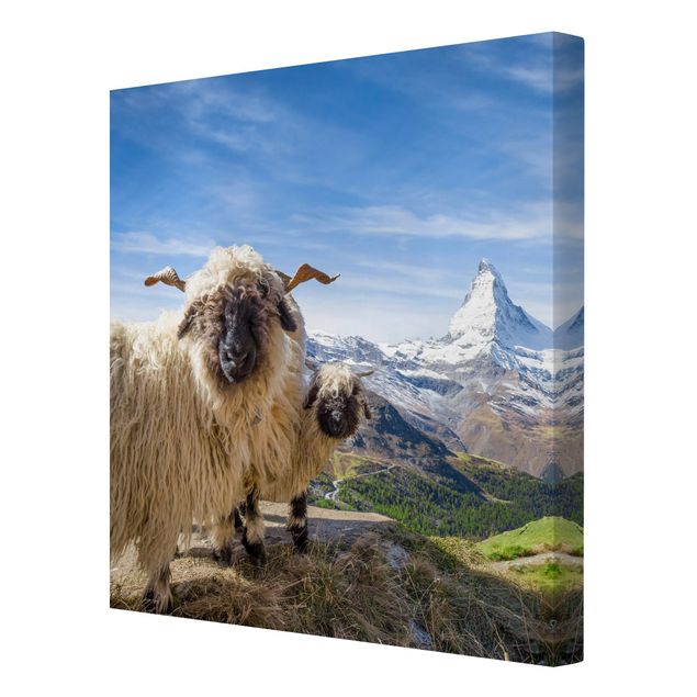 Quadri moderni per soggiorno Pecore dal naso nero di Zermatt