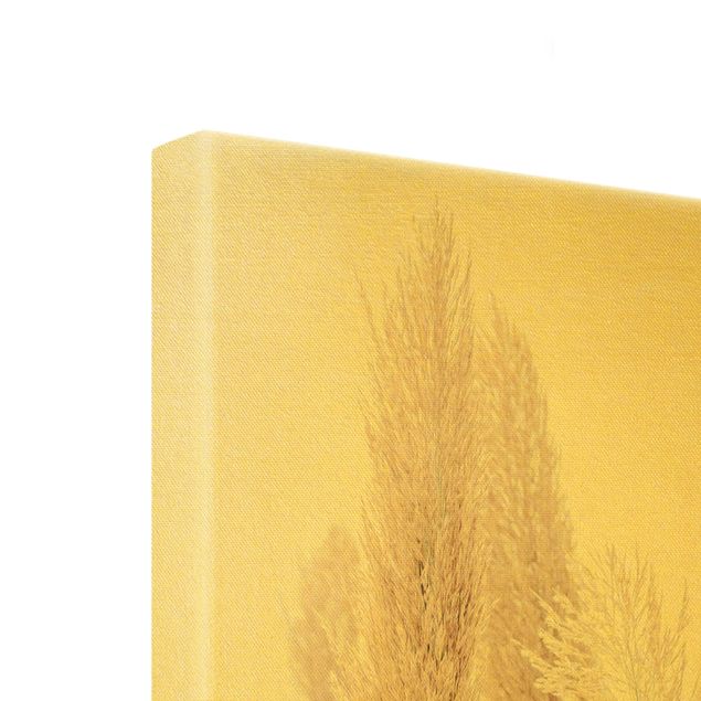 Quadro su tela oro - Erba della Pampas nella luce bianca