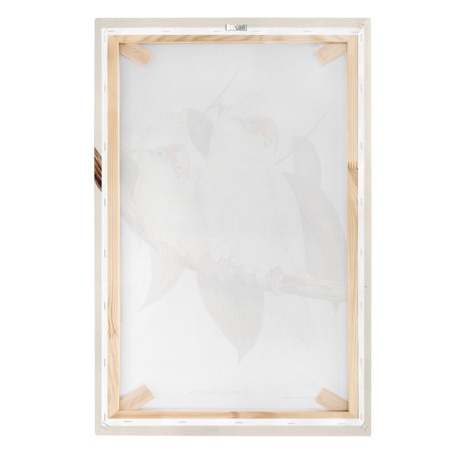 Stampa su tela - Illustrazione Vintage White Cockatoo - Verticale 3:2