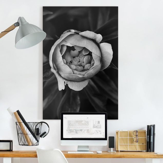 Tela rose Fiore di peonia bianco Foglie anteriori nere