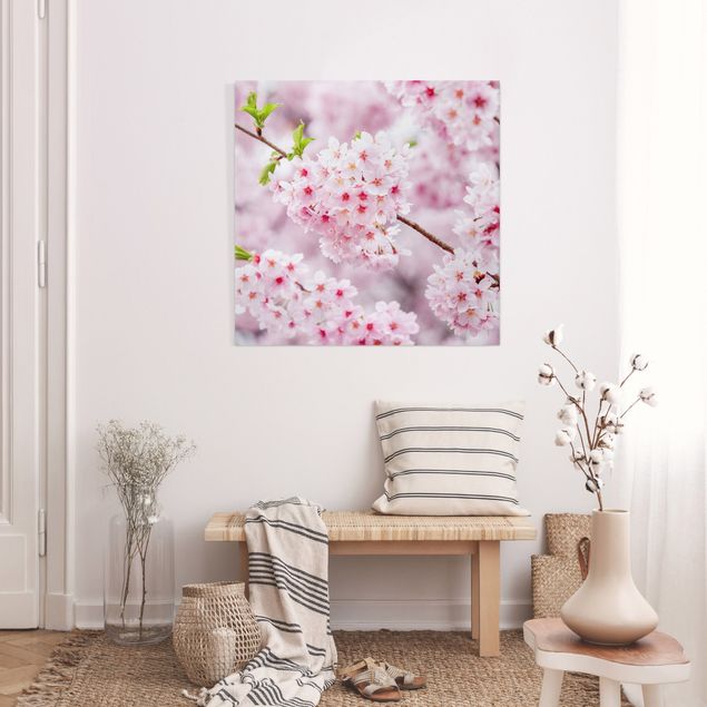 Riproduzione quadri su tela Fioriture di ciliegio giapponesi