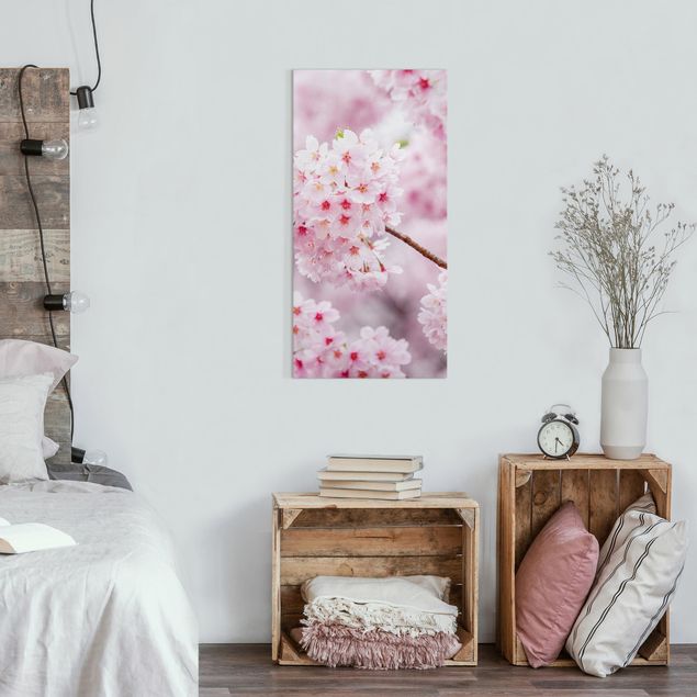 Riproduzione quadri su tela Fioriture di ciliegio giapponesi