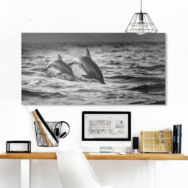 quadri con animali Due delfini che saltano