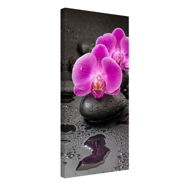 Quadri moderni per soggiorno Fiore di orchidea rosa su pietra con gocce