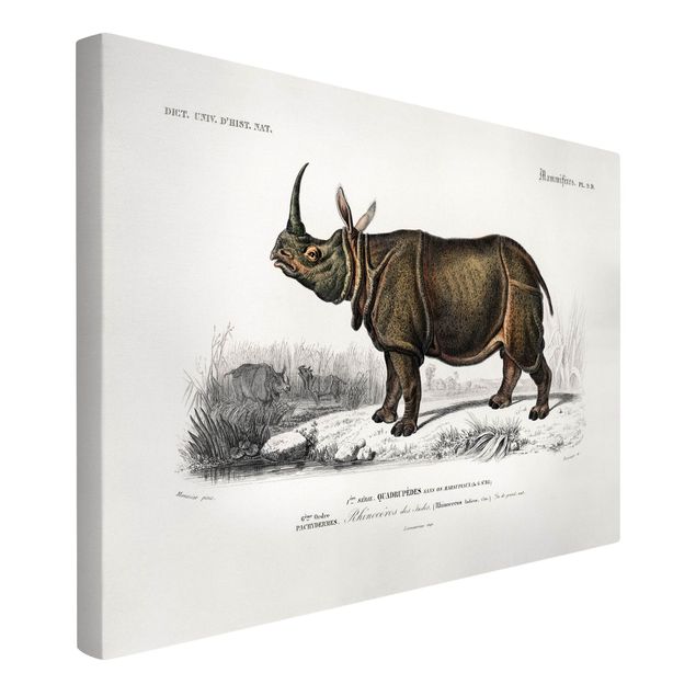 Stampa su tela vintage Bacheca Vintage Rinoceronte
