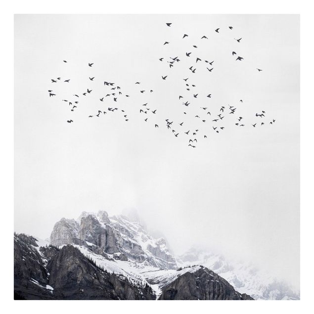 Tele bianco e nero Stormo di uccelli di fronte alle montagne in bianco e nero