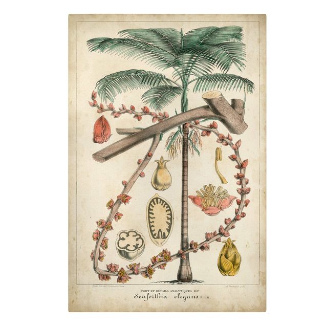 Stampa su tela - Consiglio Vintage Exotic Palms II - Verticale 3:2
