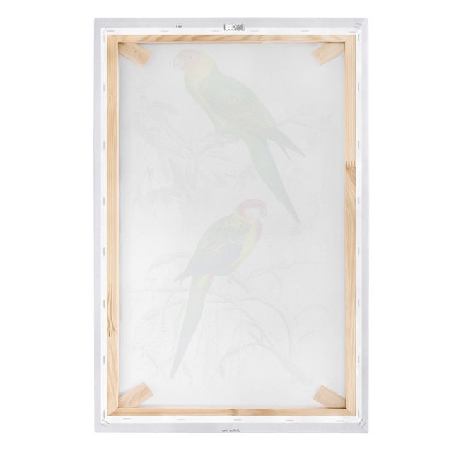 Stampa su tela - Grafico parete Vintage Due pappagalli Verde Rosso - Verticale 3:2