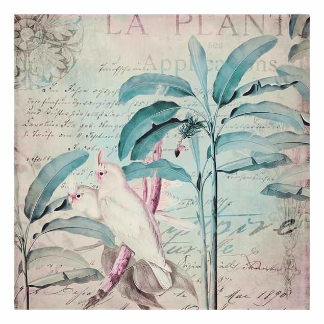 Stampe su tela vintage Collage in stile coloniale - Cacatua e palme