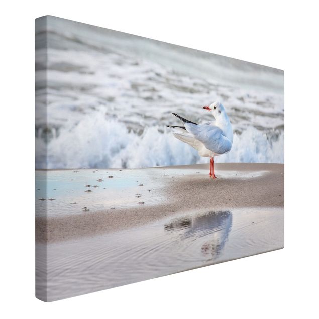 Riproduzioni su tela quadri famosi Gabbiano sulla spiaggia di fronte al mare