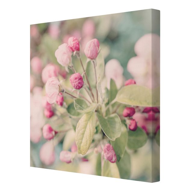 Stampa su tela - Apple Blossom rosa bokeh - Quadrato 1:1