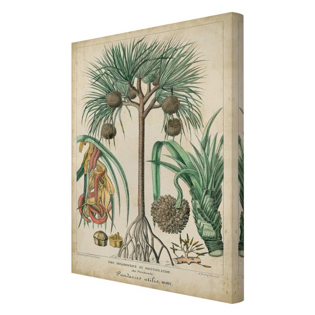 Stampa su tela - Consiglio Vintage Exotic Palms I - Verticale 3:2