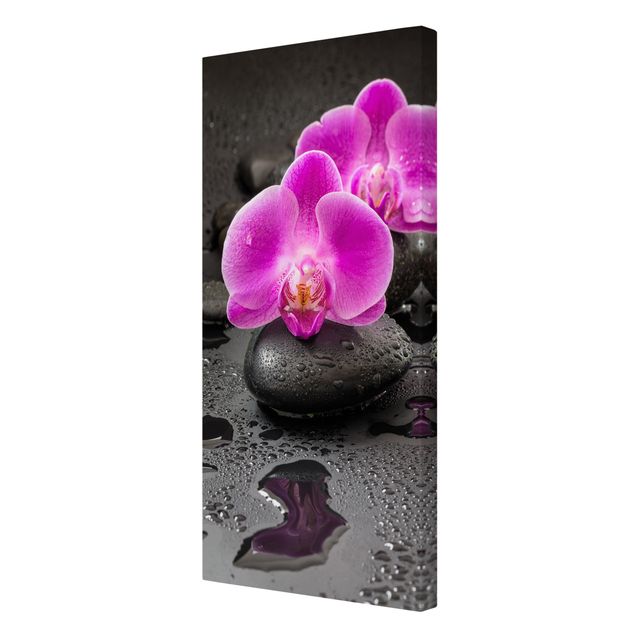 Stampa su tela - Pink Orchid Fiori Sulle Pietre Con Le Gocce - Verticale 2:1