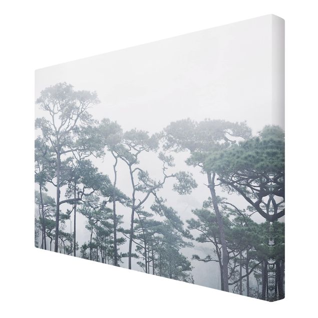 Stampa su tela - Cime degli alberi nella nebbia - Orizzontale 3:2
