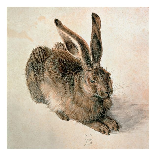 Stampa su tela Albrecht Dürer - Giovane lepre