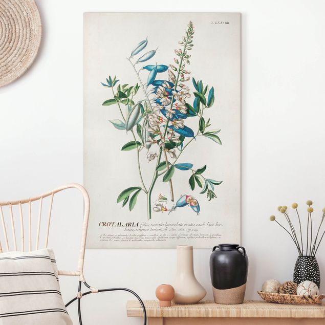 Quadri su tela fiori Illustrazione botanica vintage Legumi