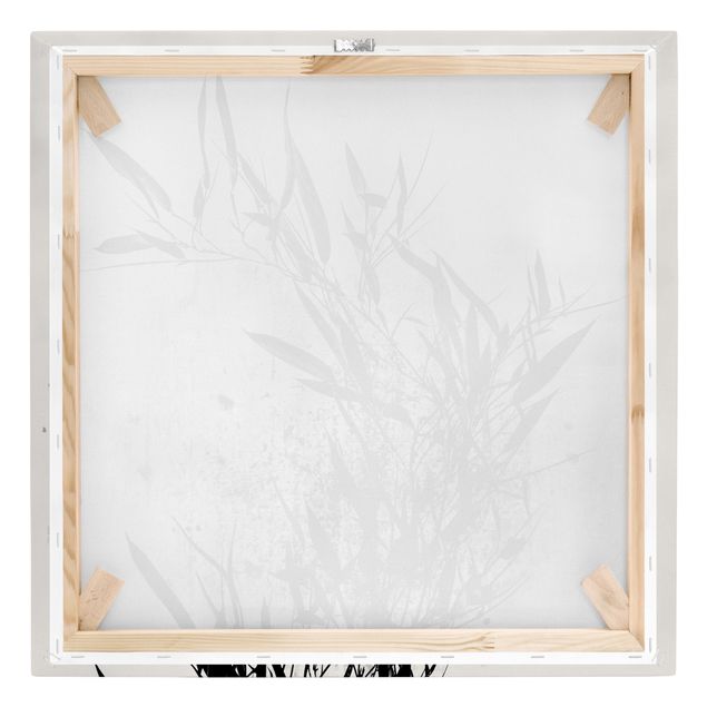 Stampa su tela - Mondo vegetale grafico - Bambú nero - Quadrato 1:1
