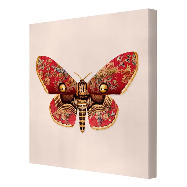 Stampa su tela - Vintage Moth - Quadrato 1:1