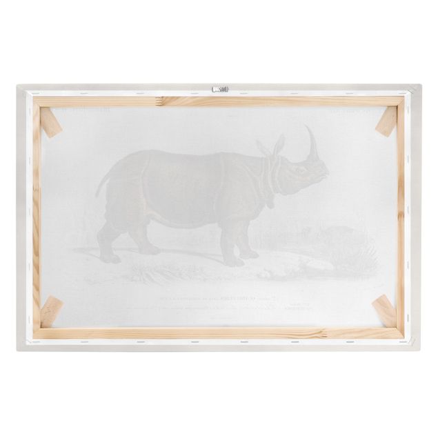 Stampa su tela - Vintage Consiglio Rhino - Orizzontale 2:3