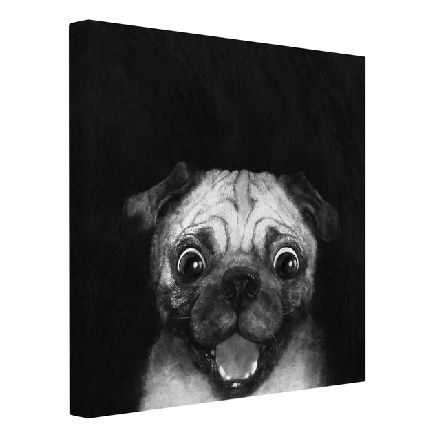 Riproduzioni su tela Illustrazione - cane carlino pittura su bianco e nero