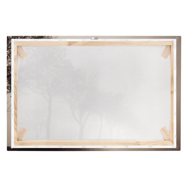 Quadro su tela - Viale alberato nella nebbia mattutina