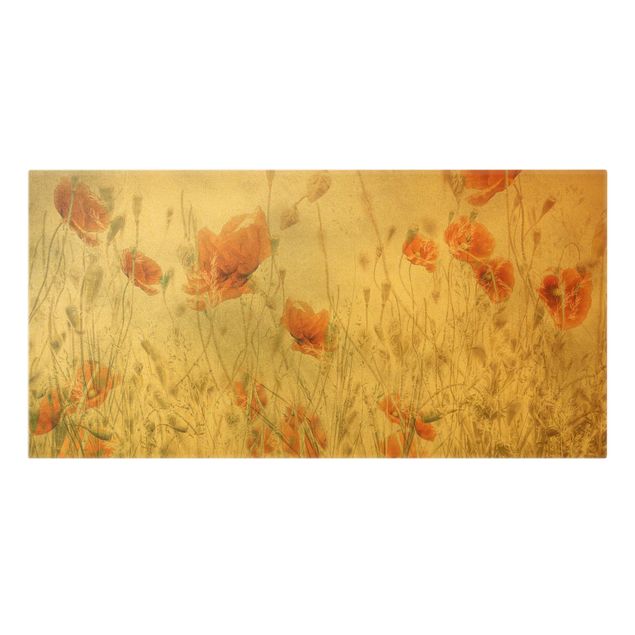 Quadro su tela oro - Papaveri e erbe delicate nel campo