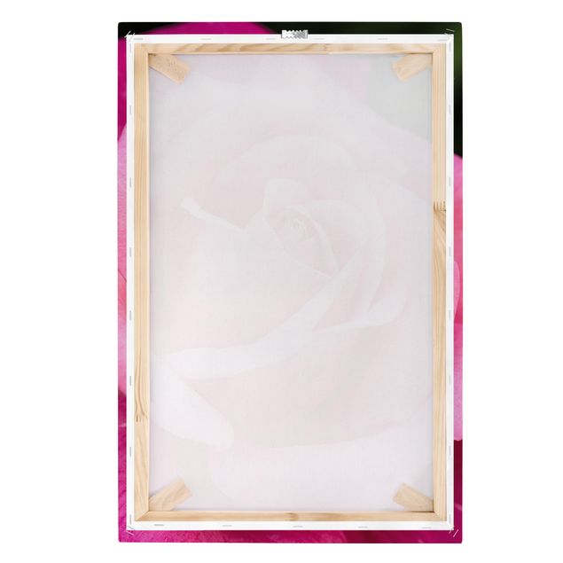 Stampa su tela - Pink Rose Bloom di fronte al verde - Verticale 3:2