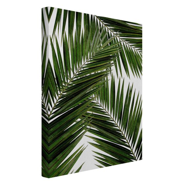 Quadri moderni per soggiorno Vista attraverso le foglie di palma verde