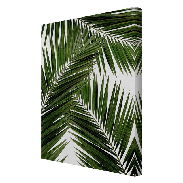 Quadro su tela - Scorcio tra foglie di palme verdi