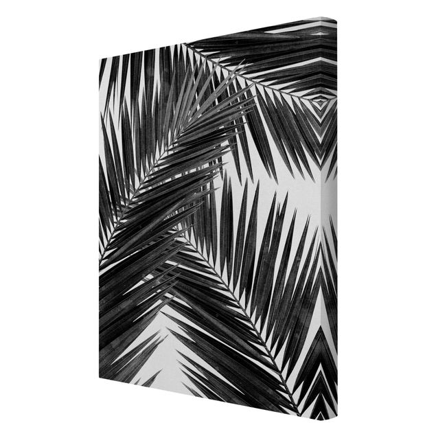 Quadro su tela - Scorcio tra foglie di palme in bianco e nero