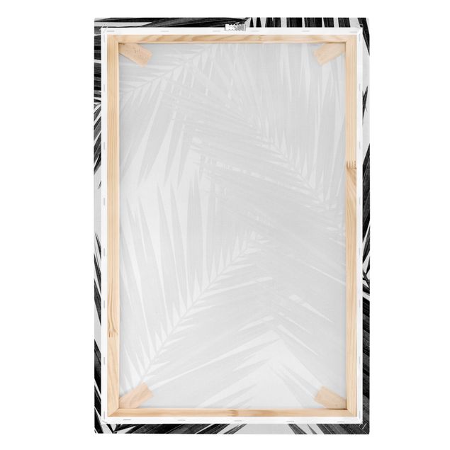 Quadro su tela - Scorcio tra foglie di palme in bianco e nero