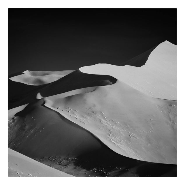 Stampa su tela bianco e nero Deserto - Dune astratte