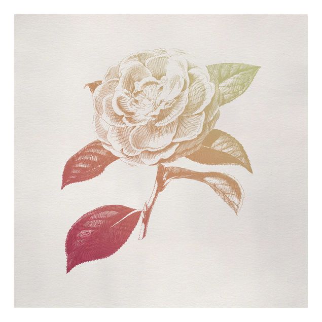 Stampa su tela - Moderna Vintage botanico Rosa Rosso Verde - Quadrato 1:1