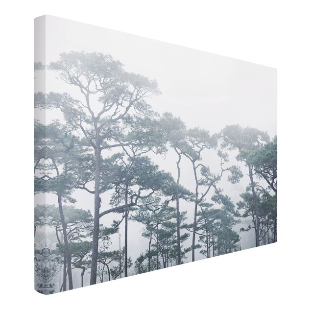 Quadri su tela Cime degli alberi nella nebbia