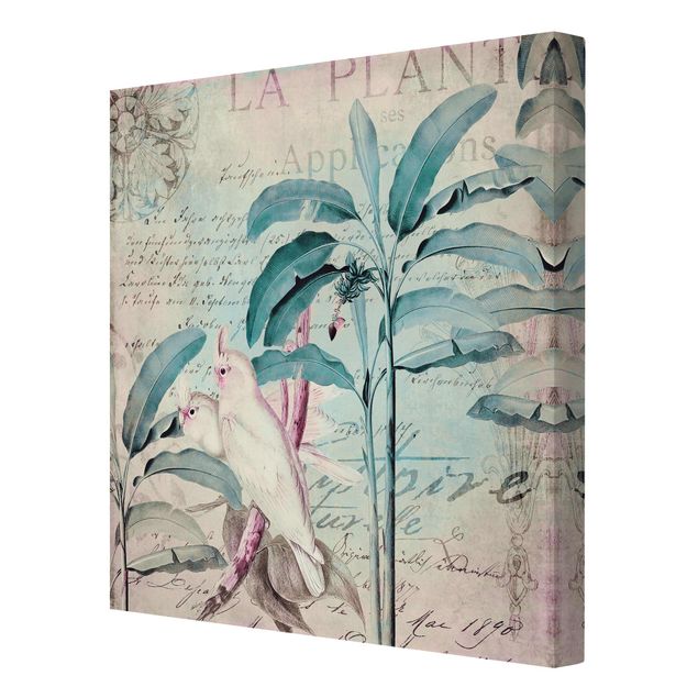 Stampe su tela Collage in stile coloniale - Cacatua e palme