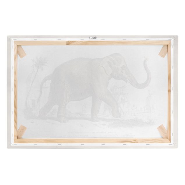 Stampa su tela - Vintage Consiglio Elephant - Orizzontale 2:3