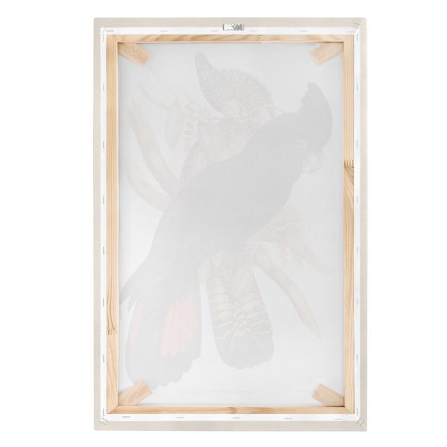 Stampa su tela - Illustrazione Vintage Black Cockatoo Nero Oro - Verticale 3:2