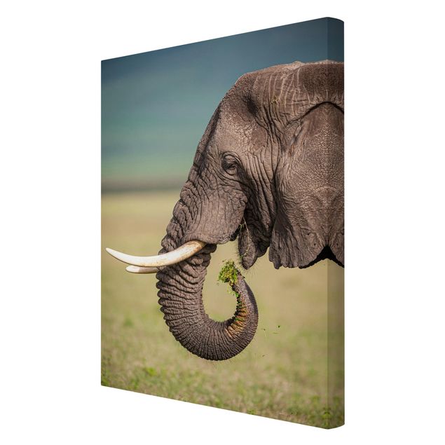 Stampa su tela - Elefanti alimentazione a Africa - Verticale 2:3