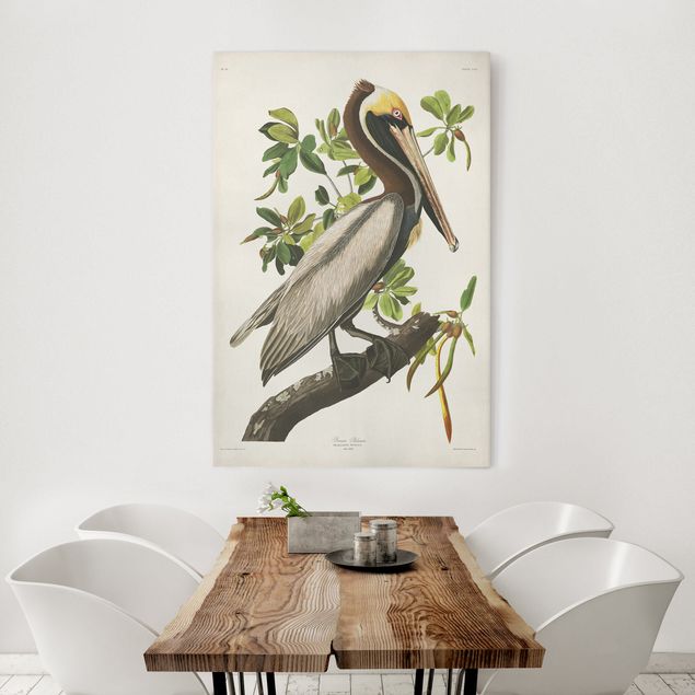 quadri con animali Bacheca vintage Brown Pelican