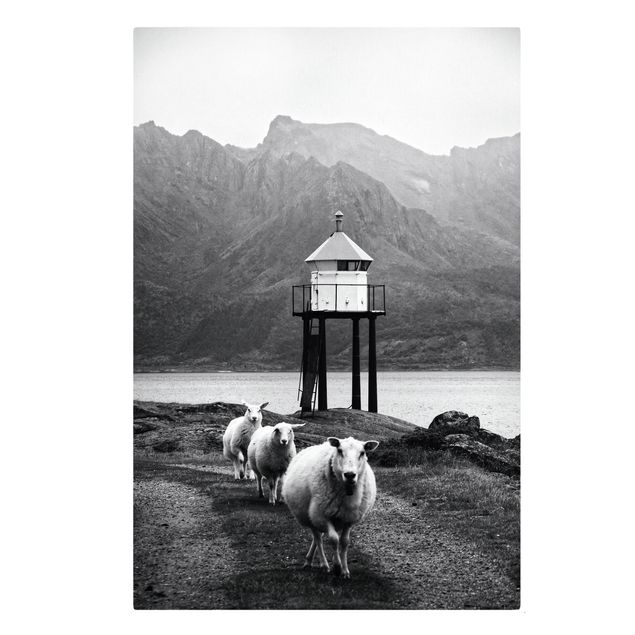Quadri moderni per soggiorno Tre pecore alle Lofoten
