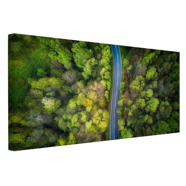 Quadri su tela Vista aerea - Strada asfaltata nella foresta