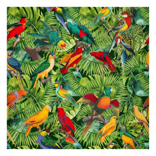 Stampe su tela animali Collage colorato - Pappagalli nella giungla