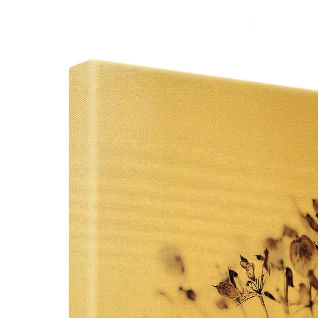 Quadro su tela oro - Macro inquadratura di fiore secco nell'ombra